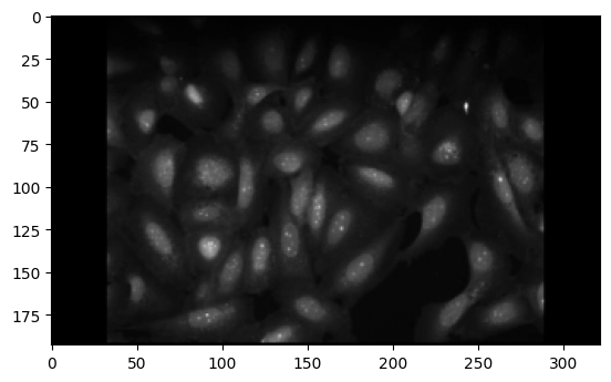 ../_images/bb7eeccf7e6efa9f169bf5e0567a4809259fa9df80ccbf9ab753514de7d0f48d.png